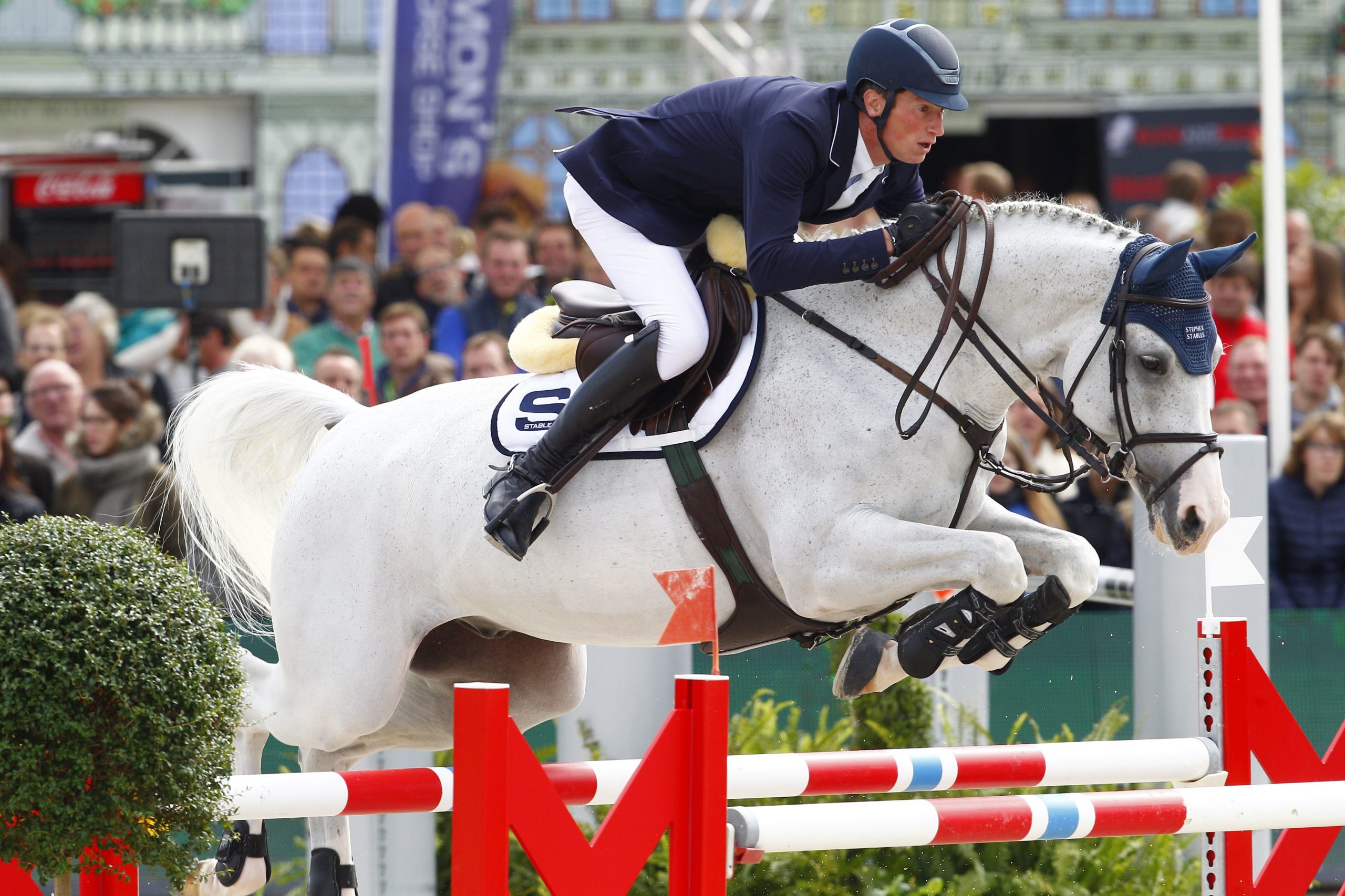 d'Amour Stephex Stables