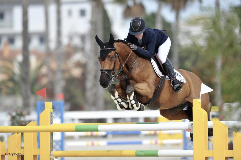 Horse Show Jumping Rider Spain Valencia Oliva Nova