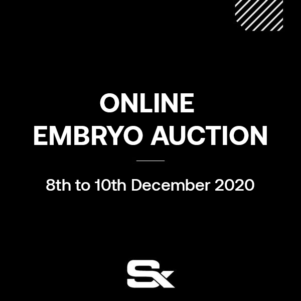 Black image displaying the Stephex Online Embryo Auction Dates and Details