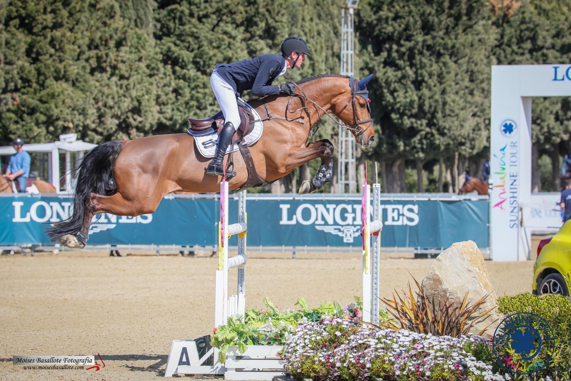 d'Amour Stephex Stables