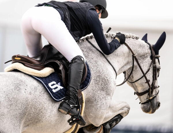 Related picture of Retour sur le WEF ’24