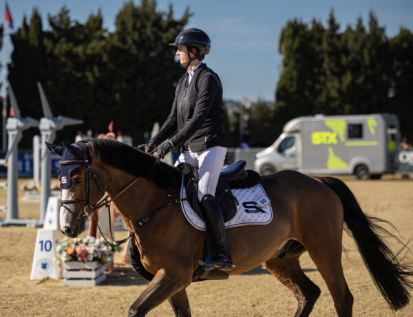 Related picture of Stephex Breeding in the Spotlight: Pommex Horses Shine at Andalucía Sunshine Tour