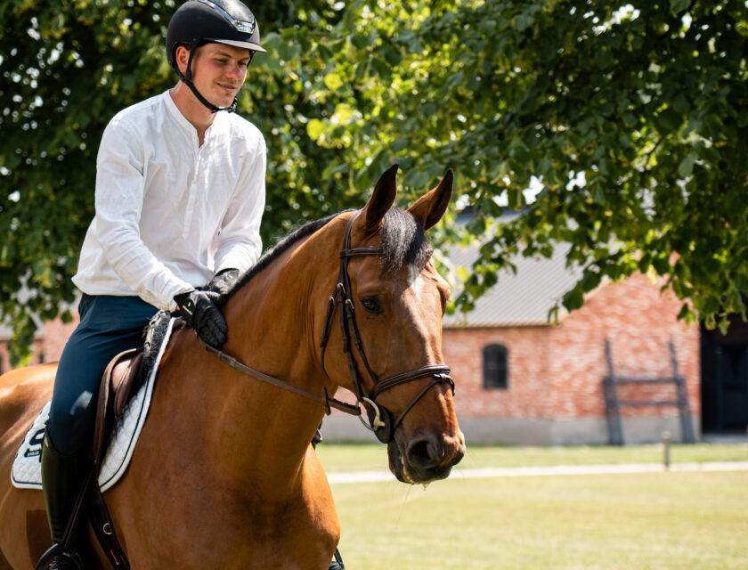 Dennis Johansson Joins Stephex Stables