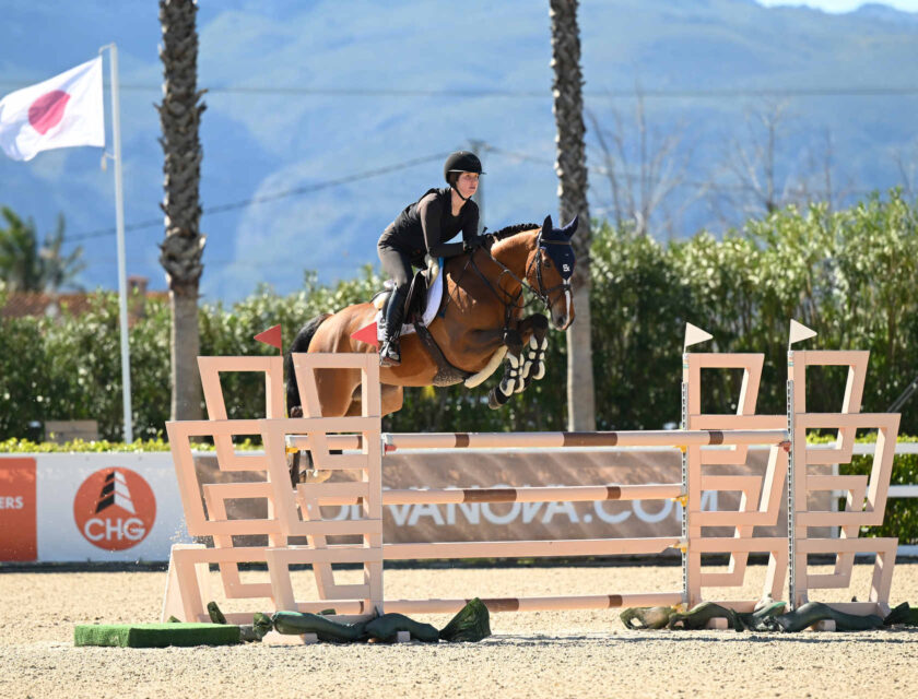 N-Joy Bull’s Eye Z